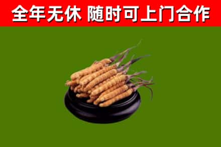 贵阳市烟酒回收冬虫夏草.jpg